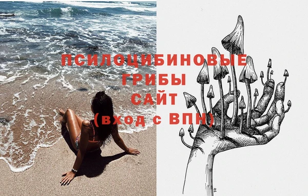 эйфоретик Вязьма