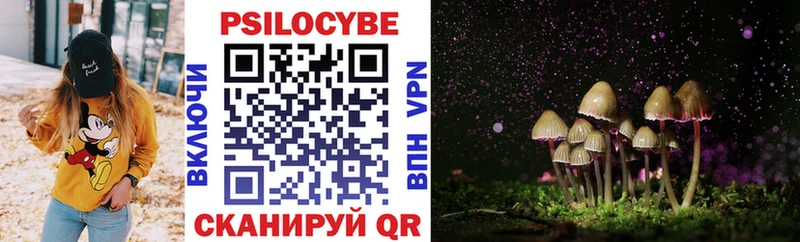 Галлюциногенные грибы Psilocybine cubensis продажа наркотиков сайты даркнета какой сайт Гай