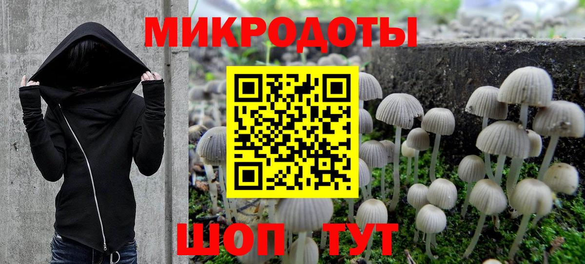 Псилоцибиновые грибы Magic Shrooms Гай