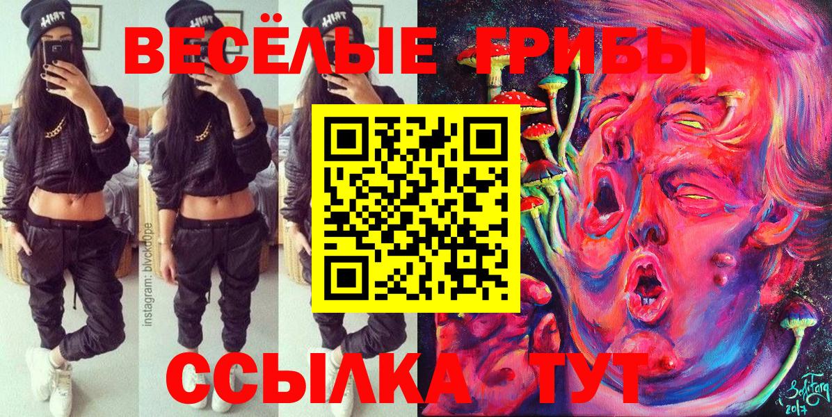 Псилоцибиновые грибы Psilocybine cubensis  Вход с VPN  Гай 
