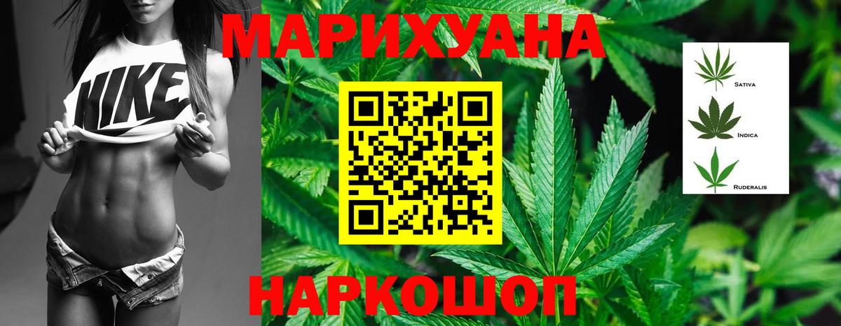 Бошки марихуана сатива Гай